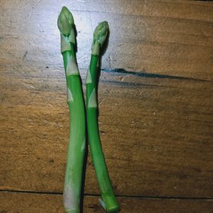 asparagus mary washinton 2