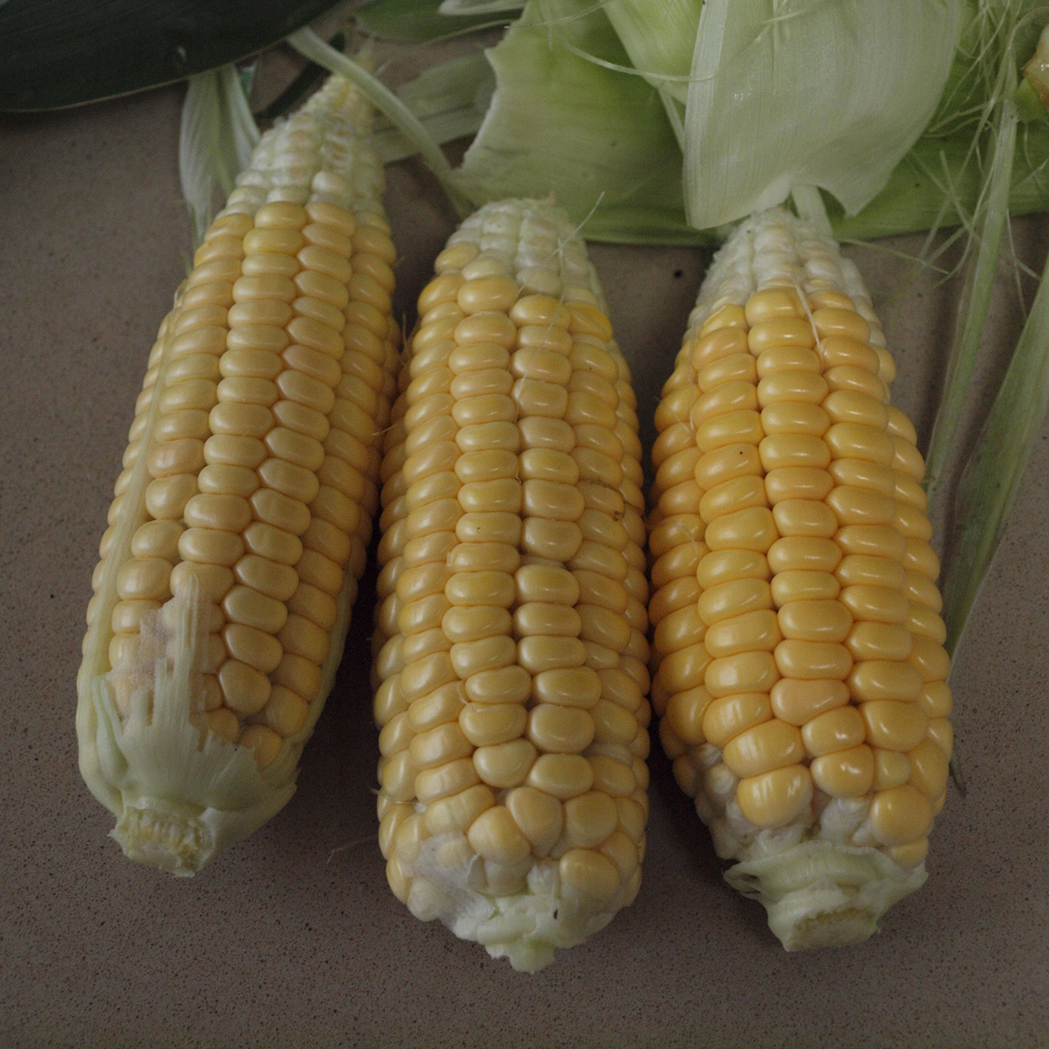 corn sweet balinese 1 (byass)