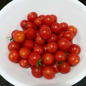 tomato tommy toe