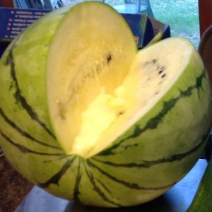 watermelon cream of saskatchewan cut open