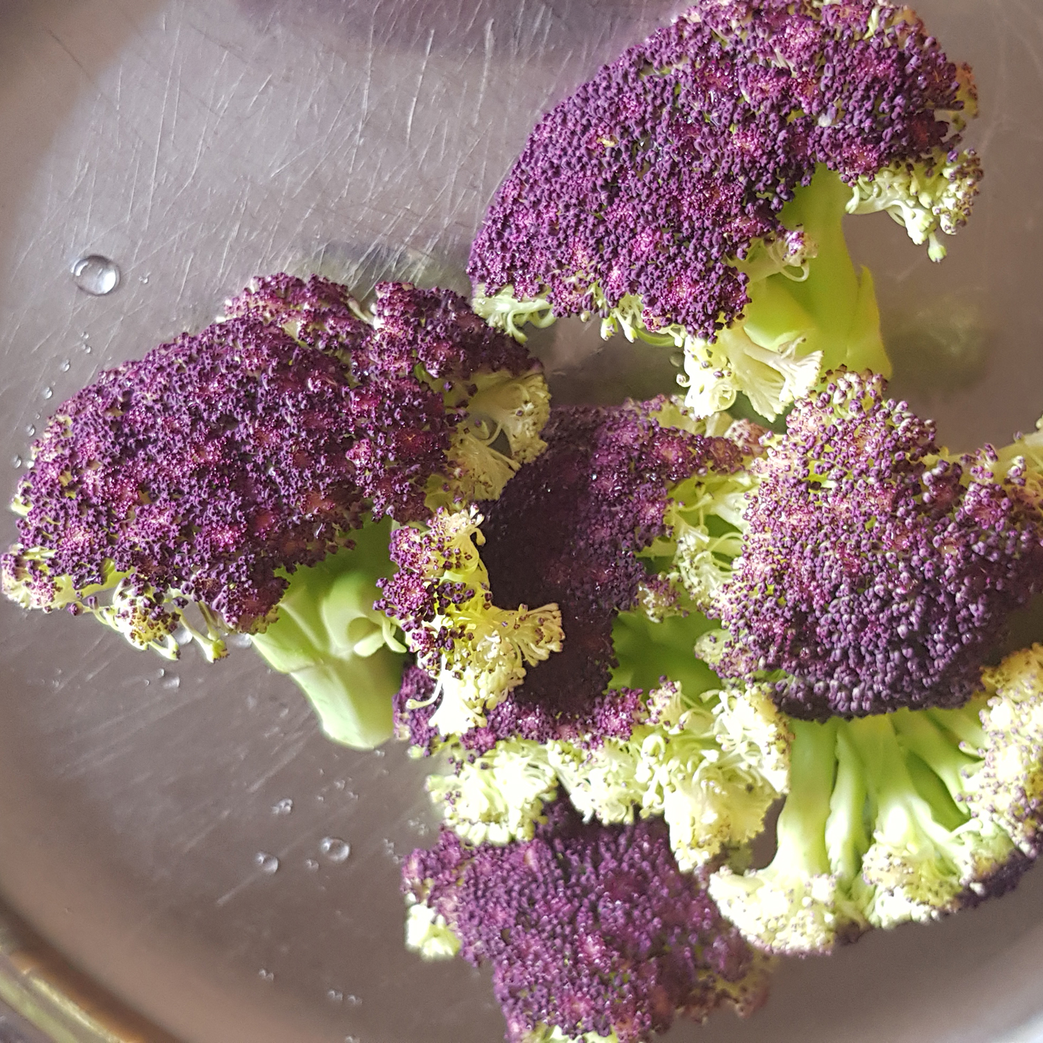 cauliflower purple sciliy 3 (penny)