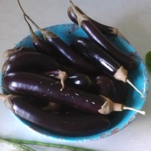 eggplant ping tung (aj)