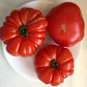Tomato 'Oxheart Red'